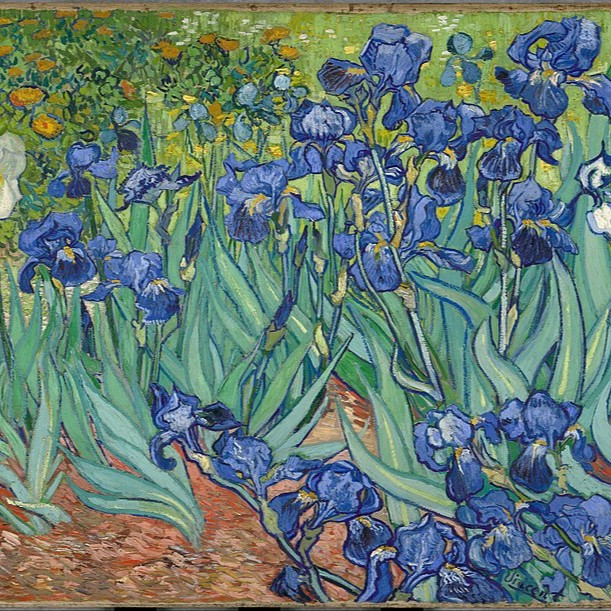 Irises